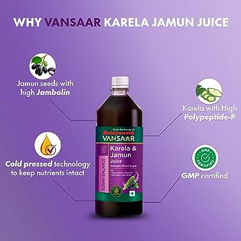 Baidyanath Vansaar Karela Jamun Juice 1L